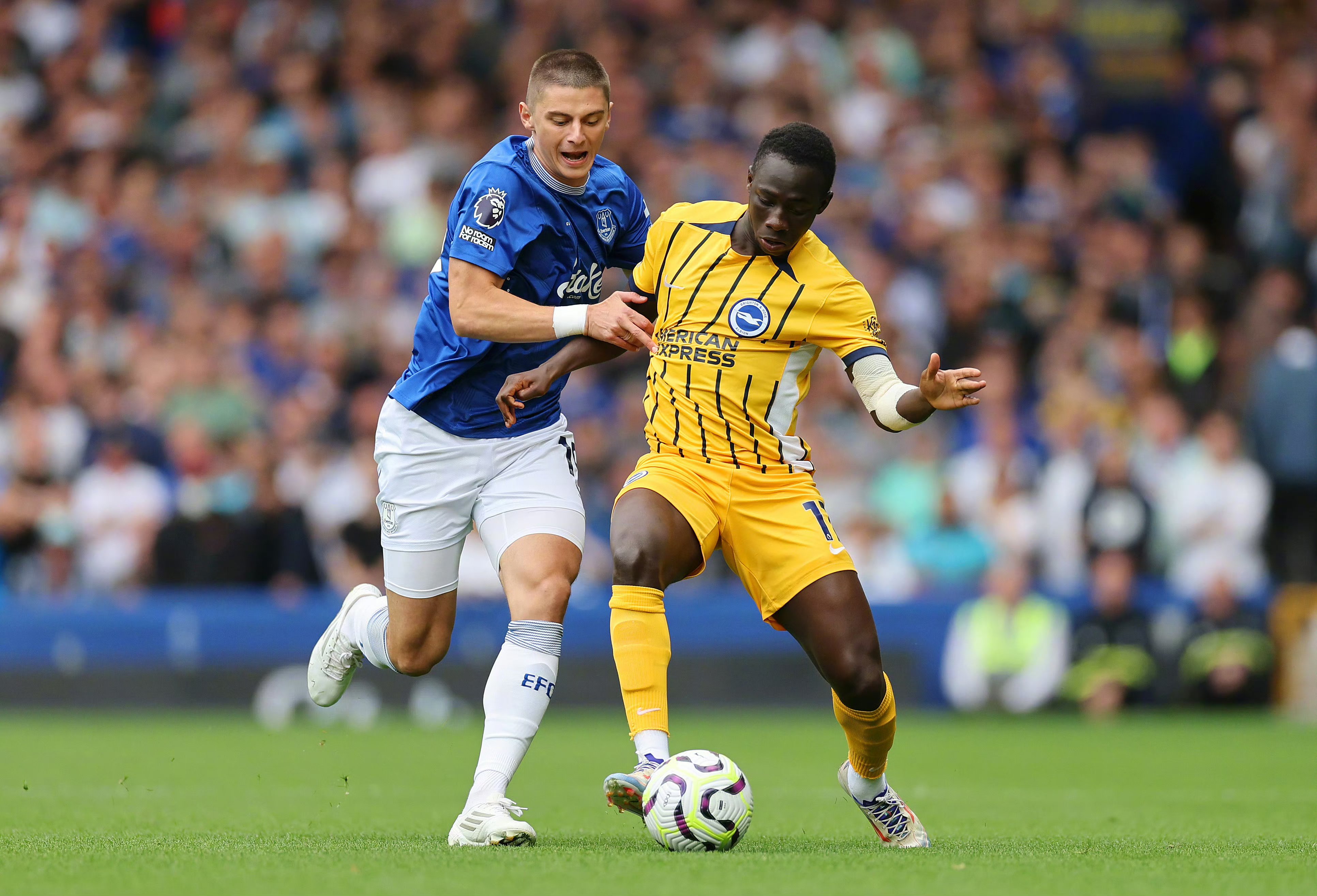 包含布莱顿主场丢球,底线战势头有所不稳的词条 包含布莱顿主场丢球,底线战势头有所不稳的词条